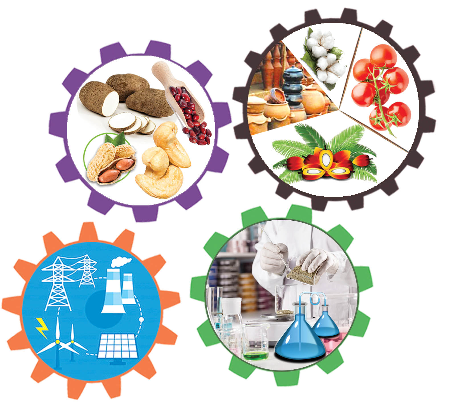 Promotion de l’économie des territoires : les acteurs se penchent sur les stratégies